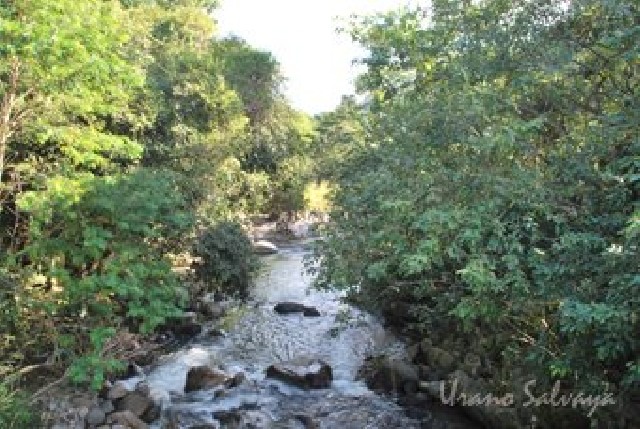 Foto 1 - Boca do Mato - Cachoeiras de Macacu