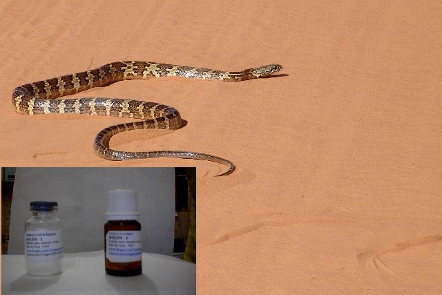 Foto 1 - Produto para espantar cobras venenosas