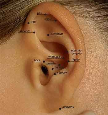 Foto 1 - Curso de acupuntura auricular - instituto elo