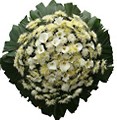 Coroa de flores 24hs osasco Ligue 3599-1409