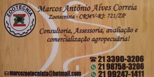 Foto 1 - assessoria,consultoria,comercializao,silagem