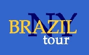 Transporte turistico para brasileiros em new york