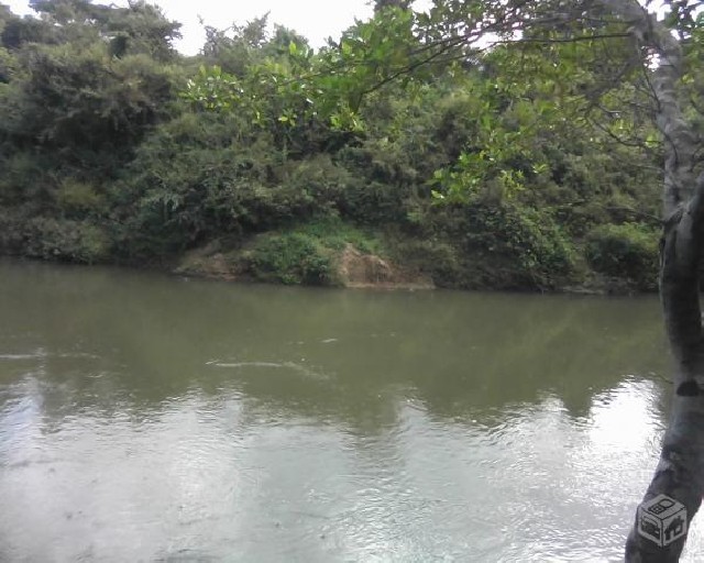 Foto 1 - Chacara rio uru